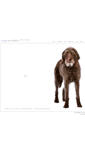 Mobile Screenshot of dogsonwhite.com