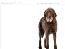 Tablet Screenshot of dogsonwhite.com